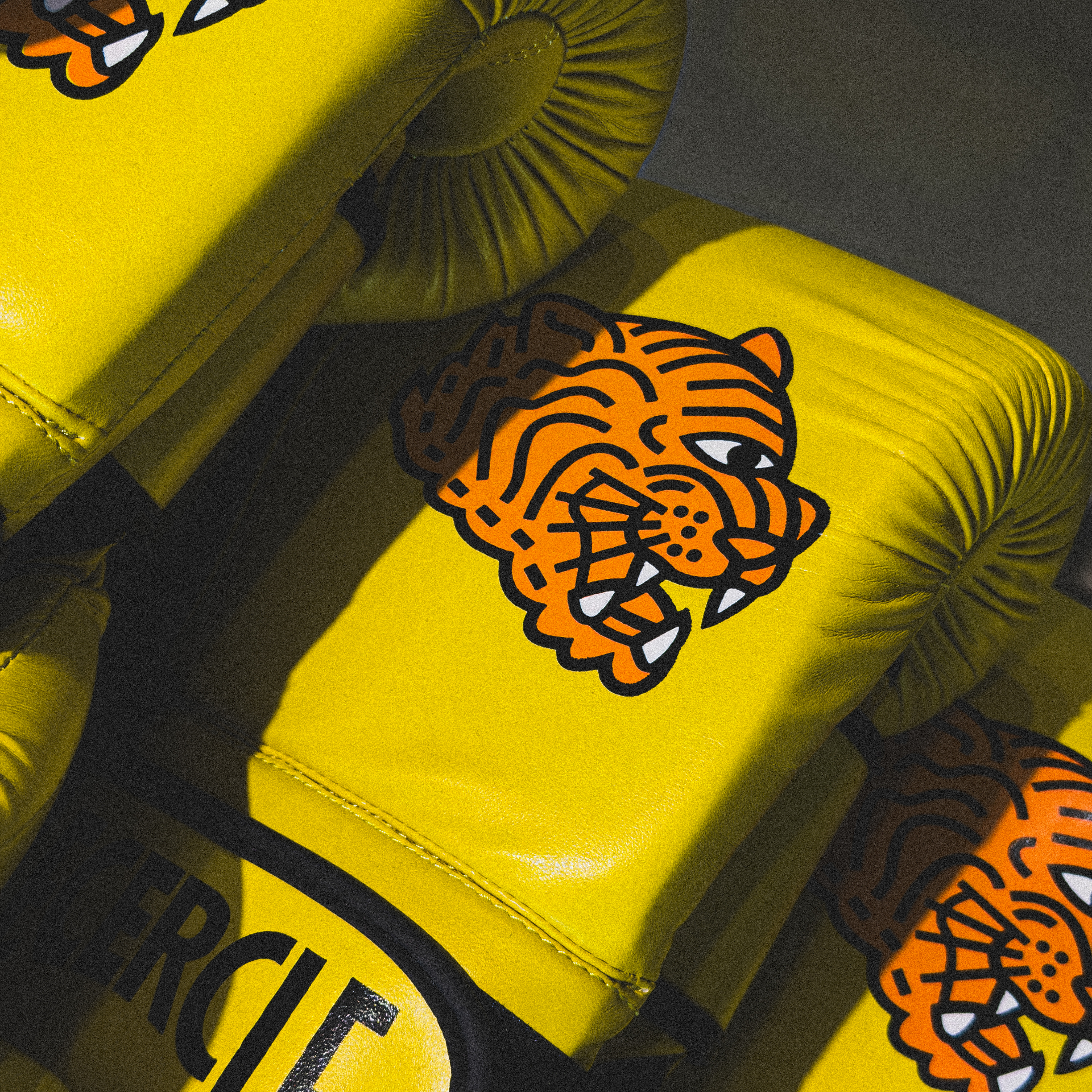 L'expérience boxe premium